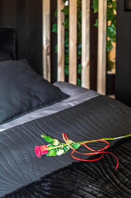 Krakowskie30 Loft1 Deptak لوبلين المظهر الخارجي الصورة